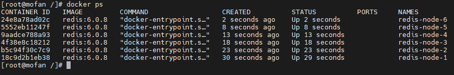 Docker成功启动6台Redis